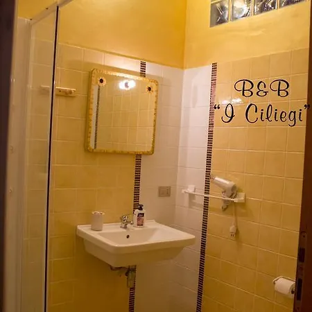 I Ciliegi Bed & Breakfast *