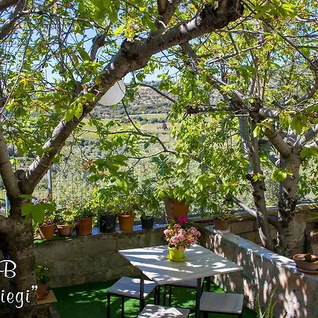 I Ciliegi